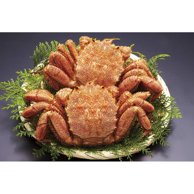 北海道産ボイル毛がに320g×2尾 320*2【直送品】［］