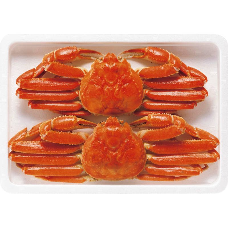 ボイルずわいがに姿 450g×2尾 ZHB452N【直送品】［］