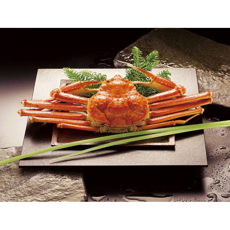 ボイルずわいがに姿 450g×1尾 ZHB451N【直送品】［］