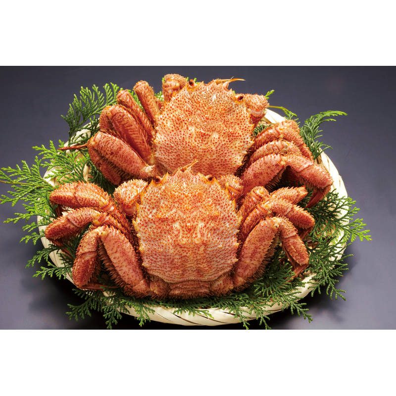 北海道産ボイル毛がに約320g×2尾 320*2【直送品】［］
