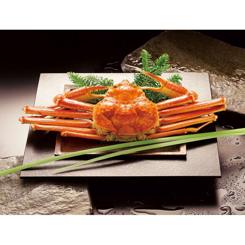 ボイルずわいがに姿 450g×1尾 ZHB451N【直送品】［］