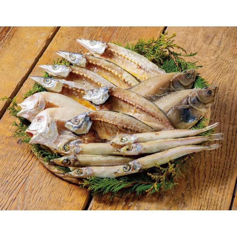 山陰海鮮一夜干しセット 6366-50【直送品】［］
