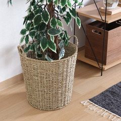 鉢カバー ガマ 10号 1個箱