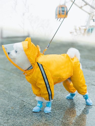 新作 レインウェア ペットレーンコート ペット服 犬服 ドッグウェア イヌ服 ペット用品