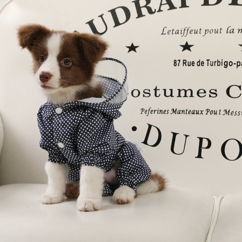 新作 レインウェア ペットレーンコート 犬服 ペット服 ドッグウェア イヌ服 ペット用品