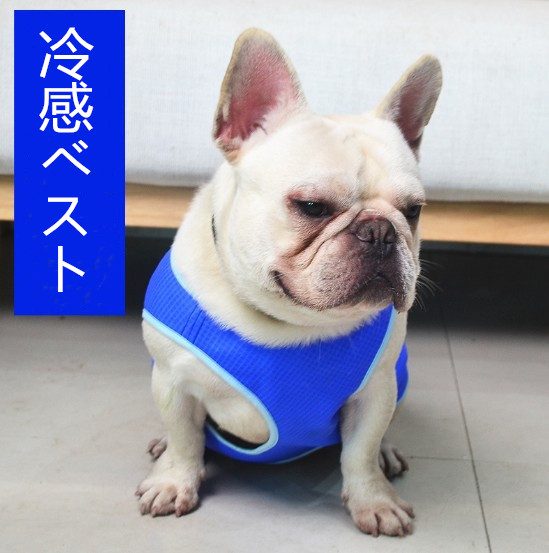 ペット服 冷感ベスト 胸当て式 クールベスト 熱中症対策 春夏 軽量 通気 簡単着脱 散歩用 出かけ用