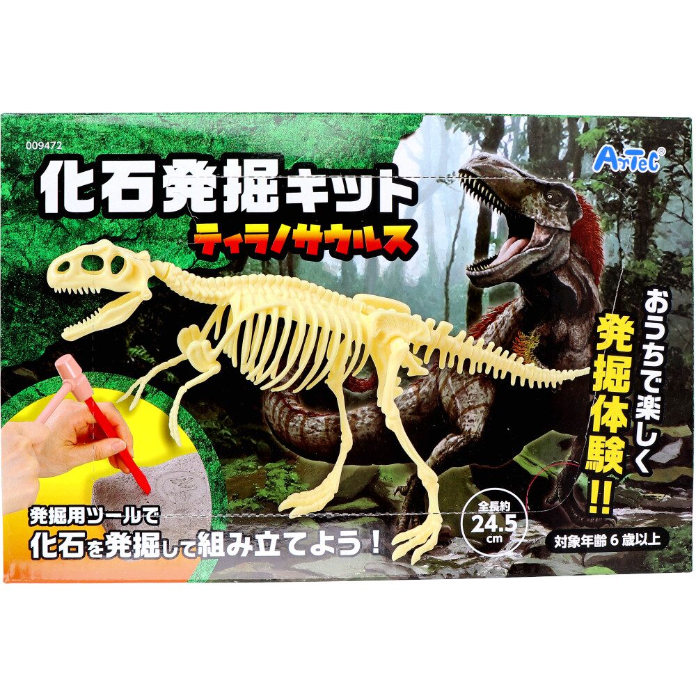 化石発掘キット ティラノサウルス 1セット