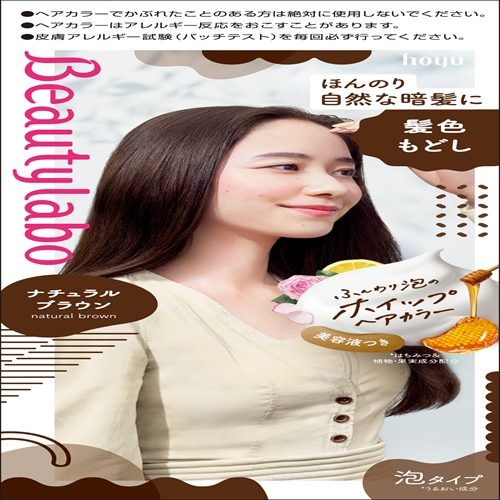 BeautyLabo（ビューティラボ） ホイップヘアカラー 髪色もどし ナチュラルブラウン 【ヘアカラー・黒髪用】