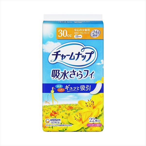 チャームナップ安心の少量用２２枚 【 ユニ・チャーム（ユニチャーム） 】 【 生理用品 】
