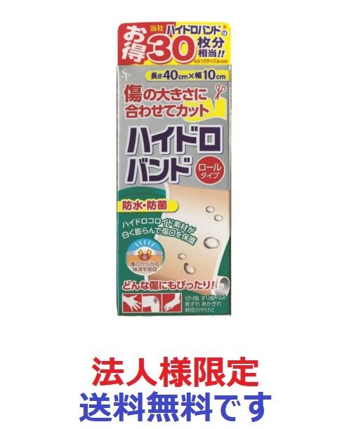 ハイドロバンドロールタイプ（Ｎ） 【 サイキョウ・ファーマ 】 【 絆創膏 】