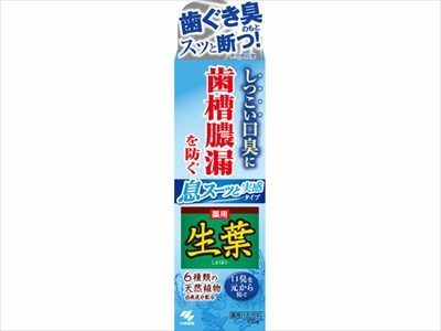 生葉Ｉ息スーッと実感１００ｇ 【 小林製薬 】 【 歯磨き 】