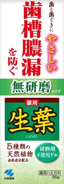 生葉m　無研磨タイプ 【 小林製薬 】 【 歯磨き 】