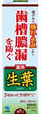 薬用ハミガキ　生葉