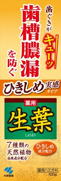 ひきしめ生葉ha 【 小林製薬 】 【 歯磨き 】