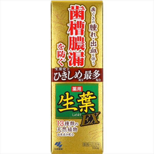 生葉EX 【 小林製薬 】 【 歯磨き 】