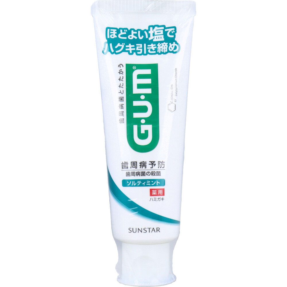 GUM ガム・デンタルペースト ソルティミント 薬用 スタンディング 150g