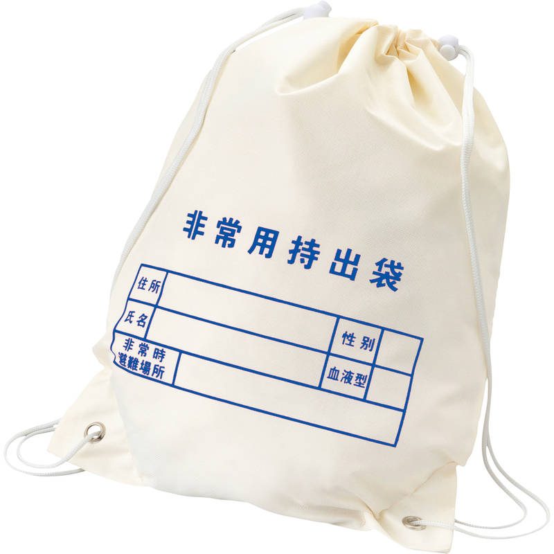 難燃性de持出袋 250250